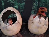 img_20231206_143826652-kopiowanie-jpg1706636755